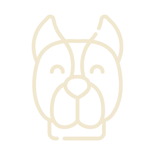 Wellness & Preventative Care Icon