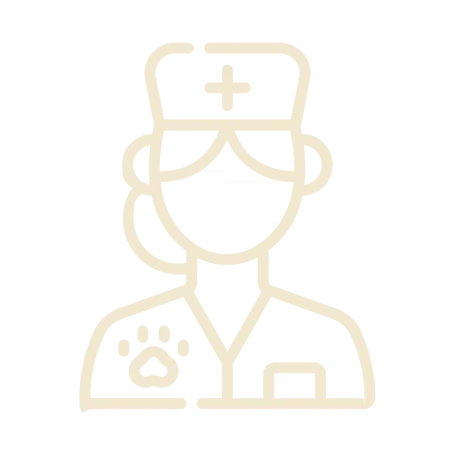 Wellness & Preventative Care Icon