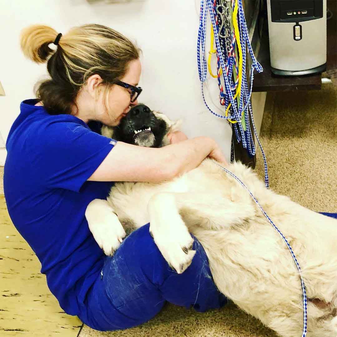 Our vet is hugging a dog.